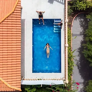 https://duque-nest-hostel.tenerifehoteles.net